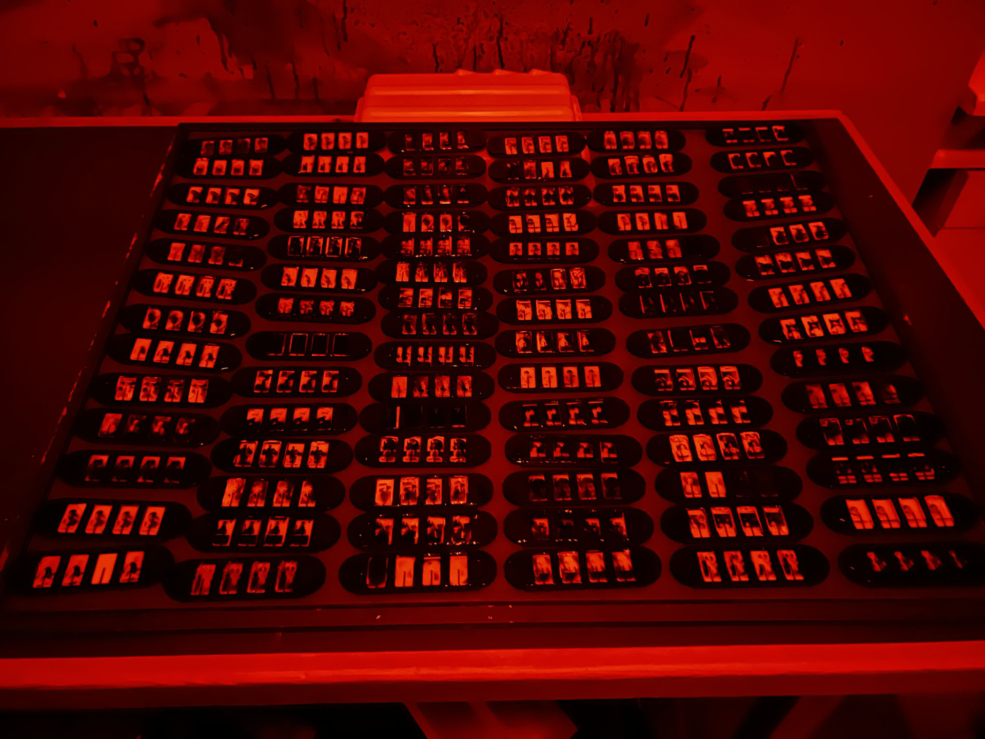 The SIM Project — wet plate collodion process in the darkroom demonstrated at the V&A